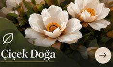 Çiçek Doğa