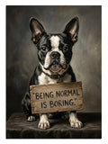 "Being Normal is Boring" yazılı tabelayla poz veren komik köpek.