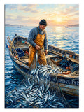 balıkçı, tekne, deniz, ağ, güneş