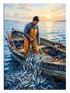 balıkçı, tekne, deniz, ağ, güneş