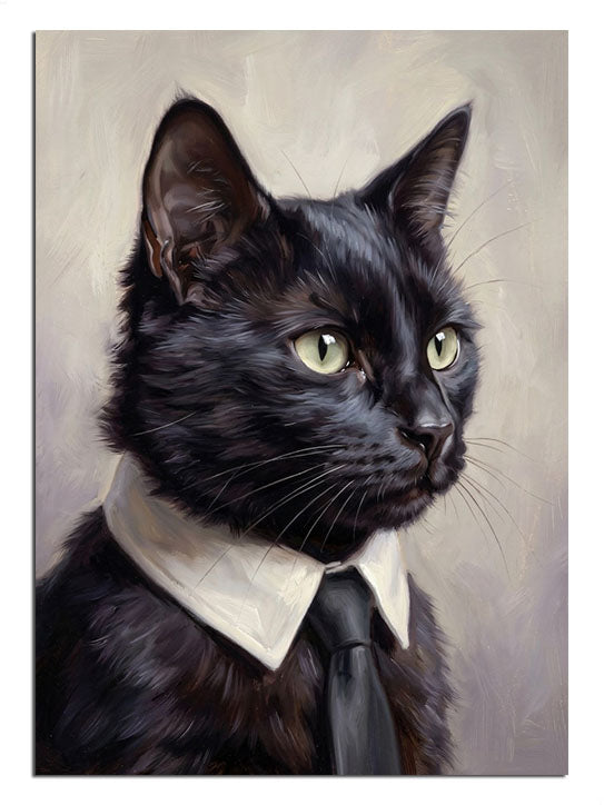 kedi, papyon, siyah kedi, tarz