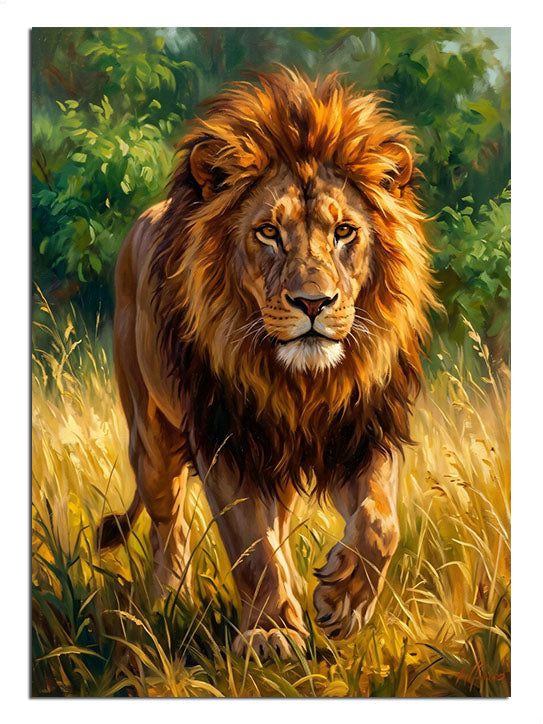 aslan, vahşi doğa, asalet, güç, güneş