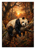 panda, ağaç, uyku, orman, huzur