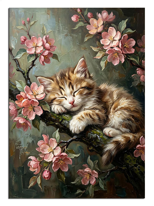 kedi, çiçek, bahar, uyku, sevimli