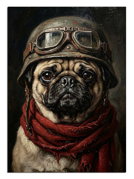 pug, köpek, pilot, kask, tarz