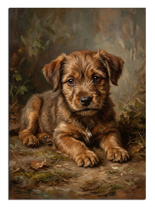 yavru köpek, sevimli hayvan, doğa, masumiyet
