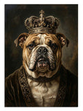 bulldog portresi, kral köpek, altın taç, asalet