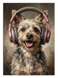 köpek portresi, kulaklıklı hayvan, müzik sevgisi, şirin