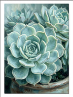 Echeveria Sukulent Mavi Yeşil Yaprak Çiçek kanvas
