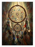 Işık altında tüylü rüya kapanı dreamcatcher spiritüel tablo.