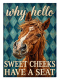 Why Hello Sweet Cheeks yazılı at kafası komik poster tablosu.