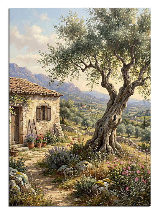 Zeytin ağacı ve taş ev ile dağ manzarası Akdeniz