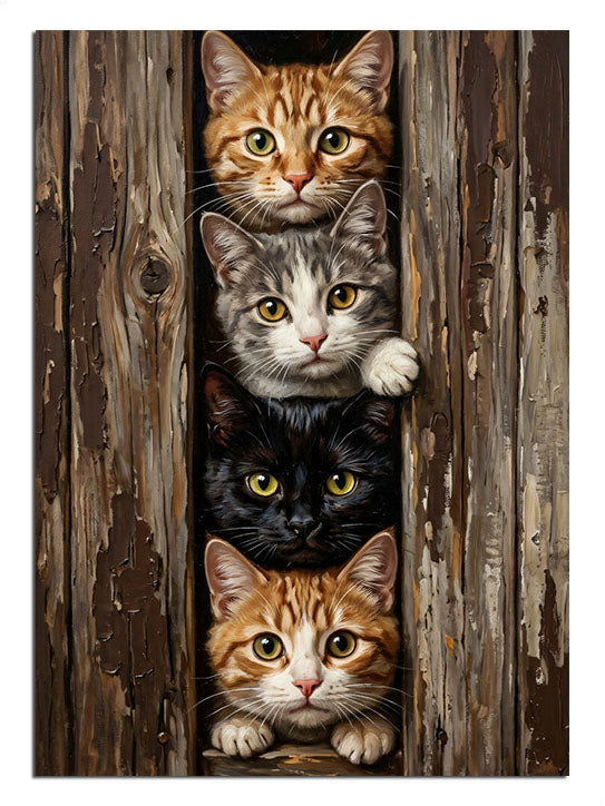 Tahta arasında bakan dört kedi yavrusu