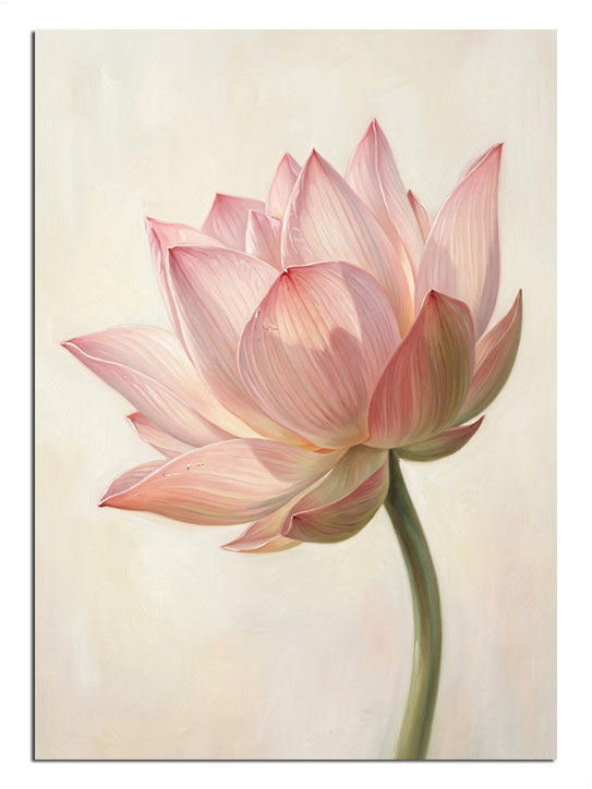 Pembe lotus çiçeği tek büyük