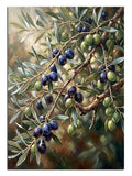 Zeytin dalı ve siyah ve yeşil zeytin taneli