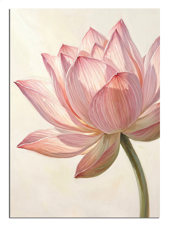Pembe lotus tek büyük çiçek ve saplı