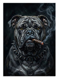 Puro içen ve zincirli ve dumanlı siyah bulldog