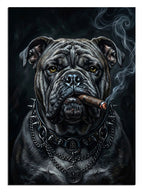 Puro içen ve zincirli ve dumanlı siyah bulldog