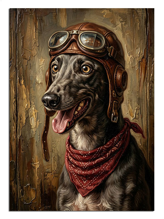 Pilot gözlüklü ve fularlı ve dili dışarıda tazı köpek