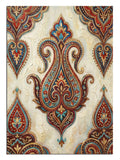 Paisley ve desenli ve kumaş ve eskitme dokulu