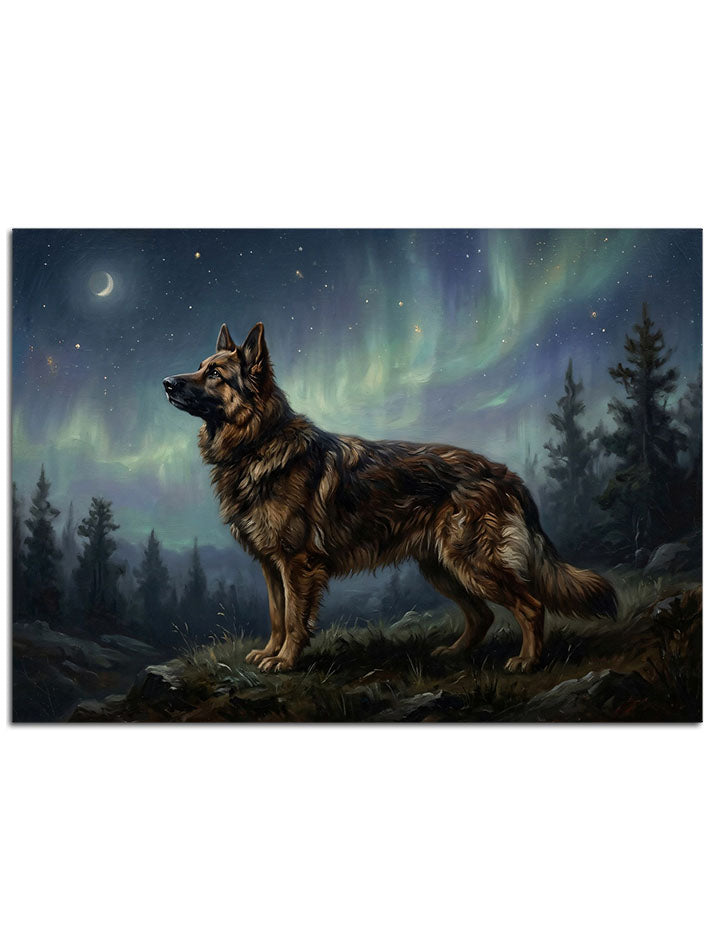 Aurora Borealis altında duran görkemli bir kurt.