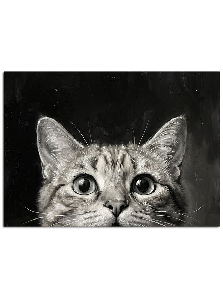 Yakın çekim kedi yüzü karesi.